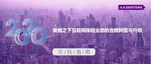 新规之下互联网保险业态的合规转型与升级丨大成 实践指南 技术开发