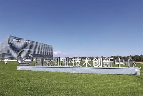 呼和浩特科创载体多点开花，技术开发赋能产业高质量发展